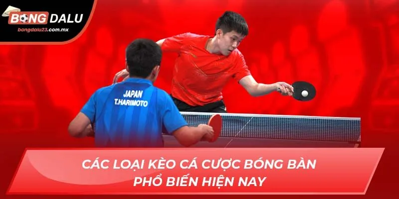 Các loại kèo cá cược bóng bàn phổ biến hiện nay