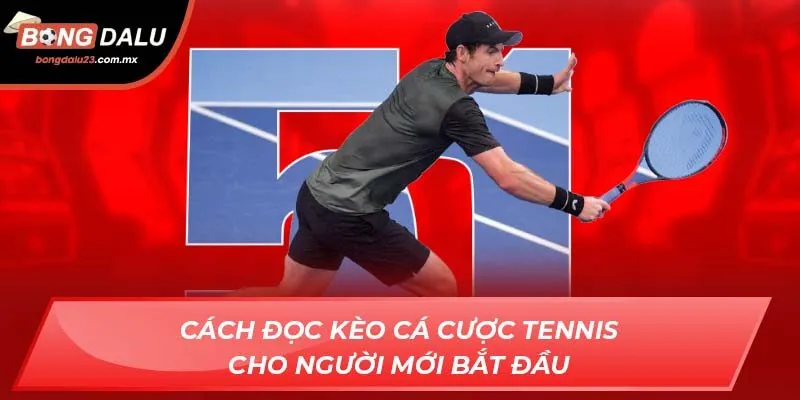 Cách đọc kèo cá cược tennis cho người mới bắt đầu